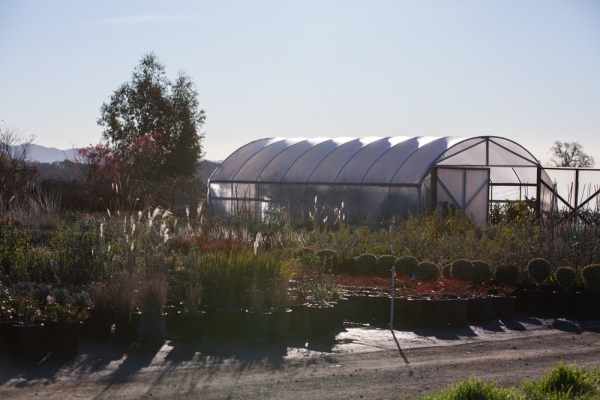 About Us - Sonoma Valley Wholesale Nursery