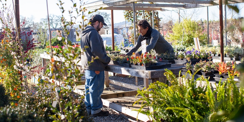 Contact - Sonoma Valley Wholesale Nursery